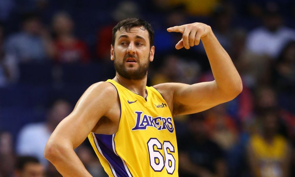 bogut