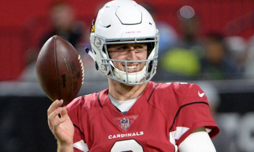 Josh Rosen, Cardinals, Dolphins