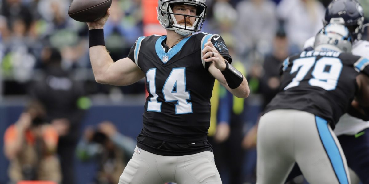 Andy Dalton, Panthers